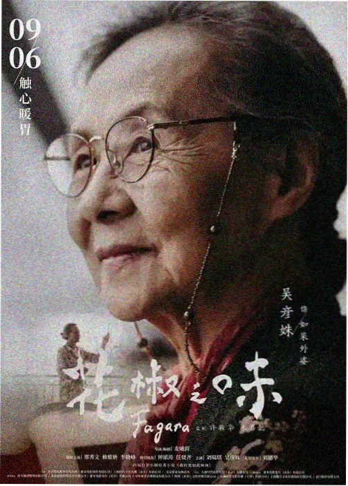 悬疑案卷抽屉雾港档案剧集编目缩略图